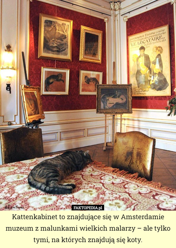 Kattenkabinet to znajdujące się w Amsterdamie muzeum z malunkami wielkich malarzy – ale tylko tymi, na których znajdują się koty. 