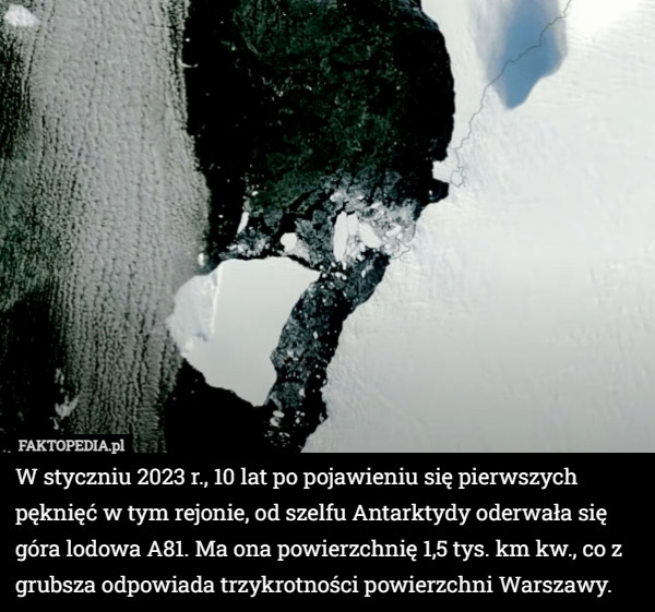 W styczniu 2023 r., 10 lat po pojawieniu się pierwszych pęknięć w tym rejonie, od szelfu Antarktydy oderwała się góra lodowa A81. Ma ona powierzchnię 1,5 tys. km kw., co z grubsza odpowiada trzykrotności powierzchni Warszawy. 