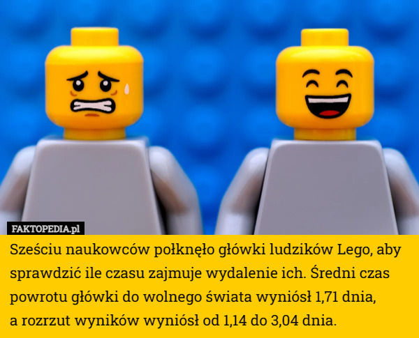Sześciu naukowców połknęło główki ludzików Lego, aby sprawdzić ile czasu zajmuje wydalenie ich. Średni czas powrotu główki do wolnego świata wyniósł 1,71 dnia,
 a rozrzut wyników wyniósł od 1,14 do 3,04 dnia. 