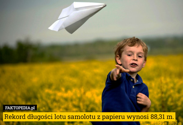 Rekord długości lotu samolotu z papieru wynosi 88,31 m. 