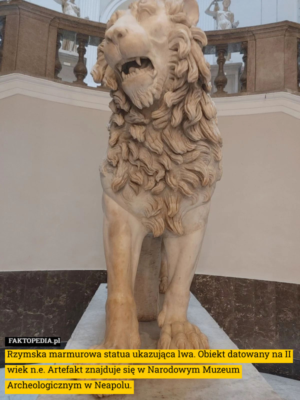 Rzymska marmurowa statua ukazująca lwa. Obiekt datowany na II wiek n.e. Artefakt znajduje się w Narodowym Muzeum Archeologicznym w Neapolu. 
