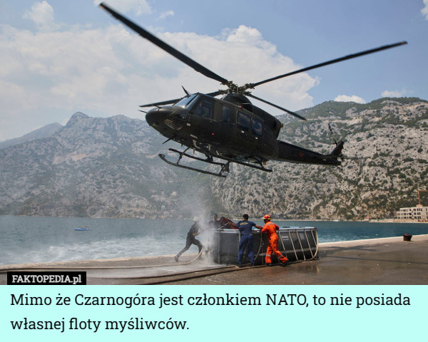 Mimo że Czarnogóra jest członkiem NATO, to nie posiada własnej floty myśliwców. 