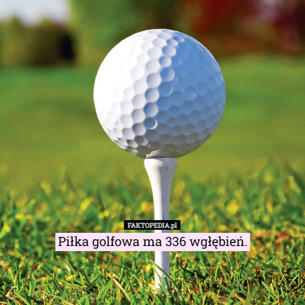 Piłka golfowa ma 336 wgłębień. 