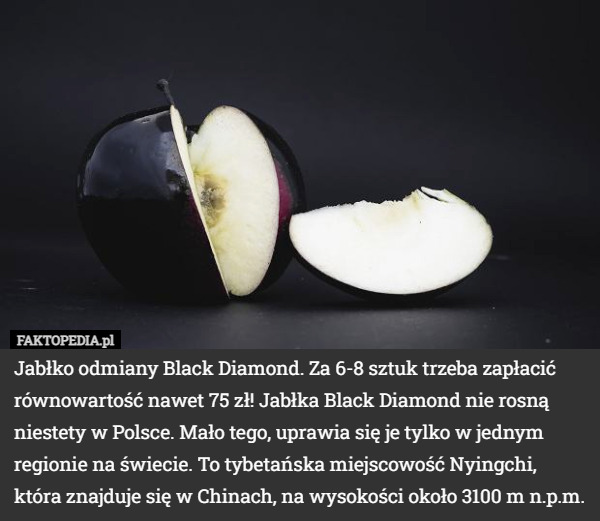 Jabłko odmiany Black Diamond. Za 6-8 sztuk trzeba zapłacić równowartość nawet 75 zł! Jabłka Black Diamond nie rosną niestety w Polsce. Mało tego, uprawia się je tylko w jednym regionie na świecie. To tybetańska miejscowość Nyingchi, która znajduje się w Chinach, na wysokości około 3100 m n.p.m. 