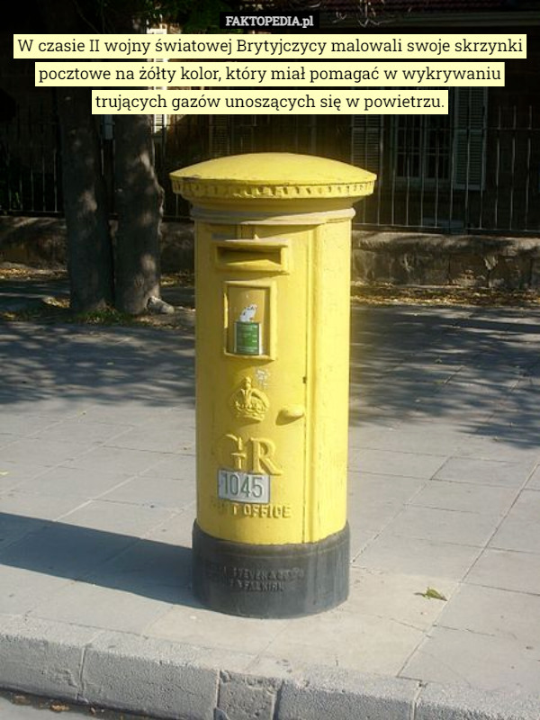 W czasie II wojny światowej Brytyjczycy malowali swoje skrzynki pocztowe na żółty kolor, który miał pomagać w wykrywaniu trujących gazów unoszących się w powietrzu. 
