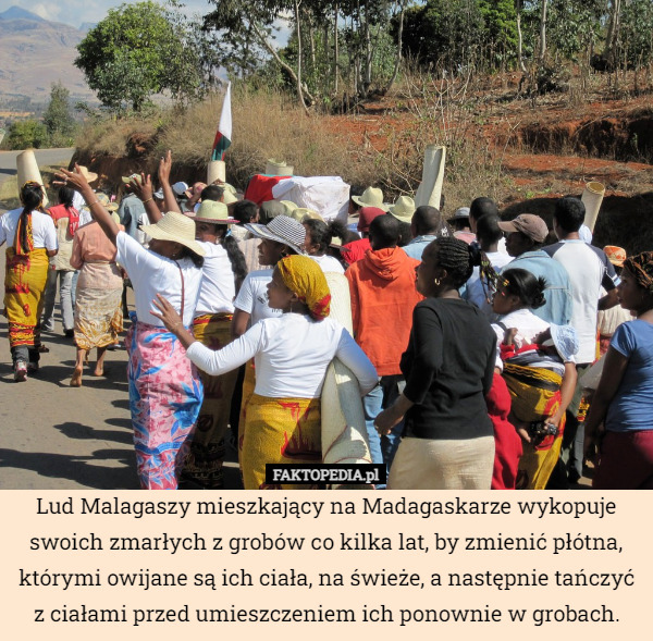 Lud Malagaszy mieszkający na Madagaskarze wykopuje swoich zmarłych z grobów co kilka lat, by zmienić płótna, którymi owijane są ich ciała, na świeże, a następnie tańczyć z ciałami przed umieszczeniem ich ponownie w grobach. 