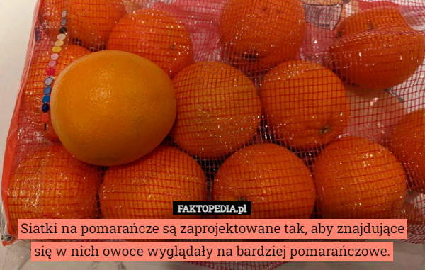Siatki na pomarańcze są zaprojektowane tak, aby znajdujące się w nich owoce wyglądały na bardziej pomarańczowe. 