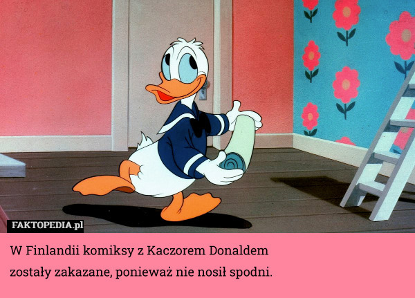 W Finlandii komiksy z Kaczorem Donaldem zostały zakazane, ponieważ nie nosił spodni. 