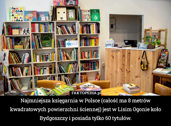 Najmniejsza księgarnia w Polsce (całość ma 8 metrów kwadratowych powierzchni ściennej) jest w Lisim Ogonie koło Bydgoszczy i posiada tylko 60 tytułów. 