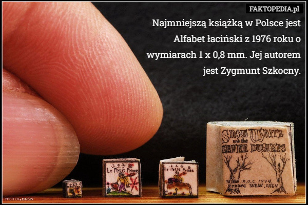 Najmniejszą książką w Polsce jest Alfabet łaciński z 1976 roku o wymiarach 1 x 0,8 mm. Jej autorem jest Zygmunt Szkocny. 