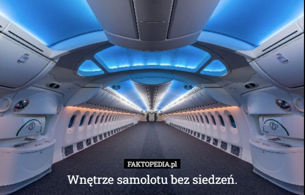 Wnętrze samolotu bez siedzeń. 