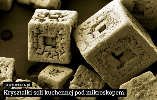 Kryształki soli kuchennej pod mikroskopem. 