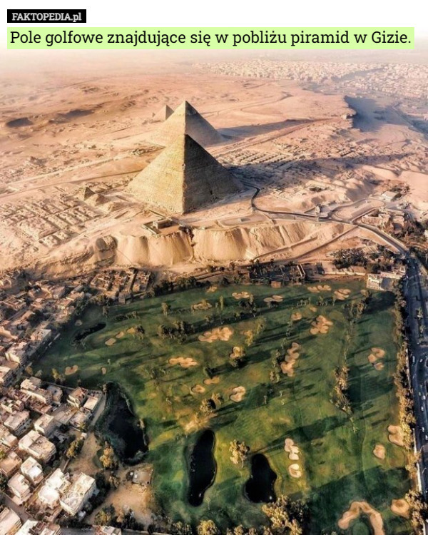 Pole golfowe znajdujące się w pobliżu piramid w Gizie. 