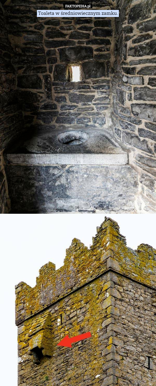 Toaleta w średniowiecznym zamku. 