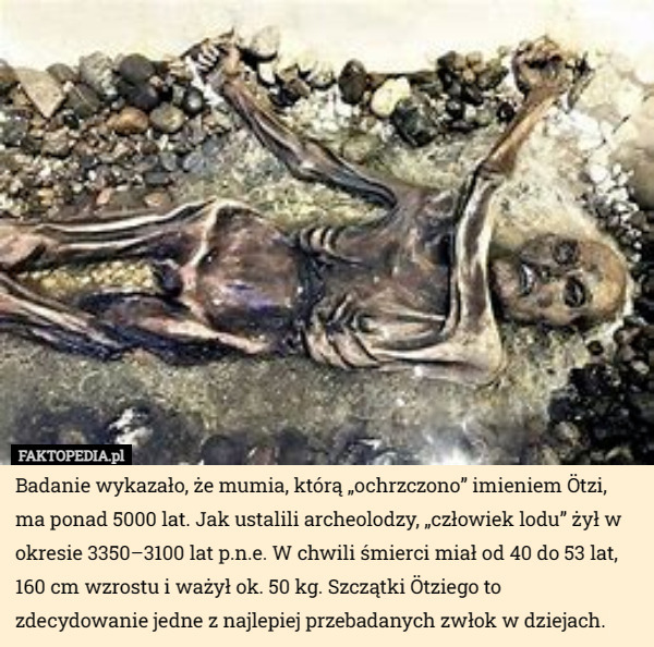Badanie wykazało, że mumia, którą „ochrzczono” imieniem Ötzi, ma ponad 5000 lat. Jak ustalili archeolodzy, „człowiek lodu” żył w okresie 3350–3100 lat p.n.e. W chwili śmierci miał od 40 do 53 lat, 160 cm wzrostu i ważył ok. 50 kg. Szczątki Ötziego to zdecydowanie jedne z najlepiej przebadanych zwłok w dziejach. 