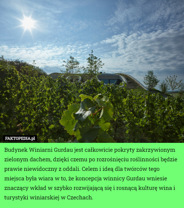 Budynek Winiarni Gurdau jest całkowicie pokryty zakrzywionym zielonym dachem, dzięki czemu po rozrośnięciu roślinności będzie prawie niewidoczny z oddali. Celem i ideą dla twórców tego miejsca była wiara w to, że koncepcja winnicy Gurdau wniesie znaczący wkład w szybko rozwijającą się i rosnącą kulturę wina i turystyki winiarskiej w Czechach. 