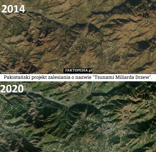 Pakistański projekt zalesiania o nazwie "Tsunami Miliarda Drzew". 