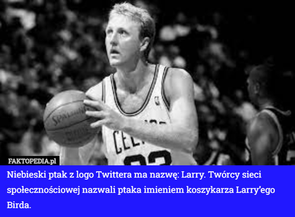 Niebieski ptak z logo Twittera ma nazwę: Larry. Twórcy sieci społecznościowej nazwali ptaka imieniem koszykarza Larry’ego Birda. 