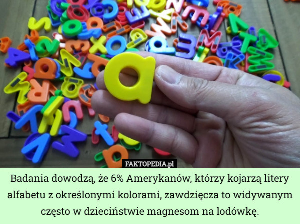 Badania dowodzą, że 6% Amerykanów, którzy kojarzą litery alfabetu z określonymi kolorami, zawdzięcza to widywanym często w dzieciństwie magnesom na lodówkę. 