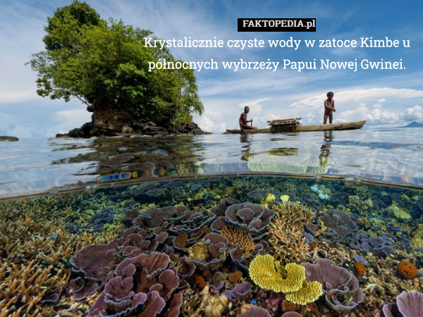 Krystalicznie czyste wody w zatoce Kimbe u północnych wybrzeży Papui Nowej Gwinei. 