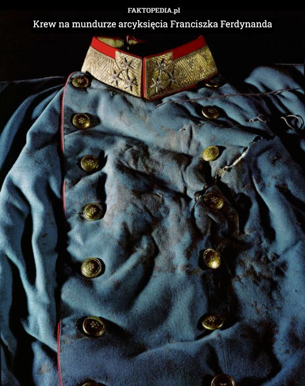 Krew na mundurze arcyksięcia Franciszka Ferdynanda 