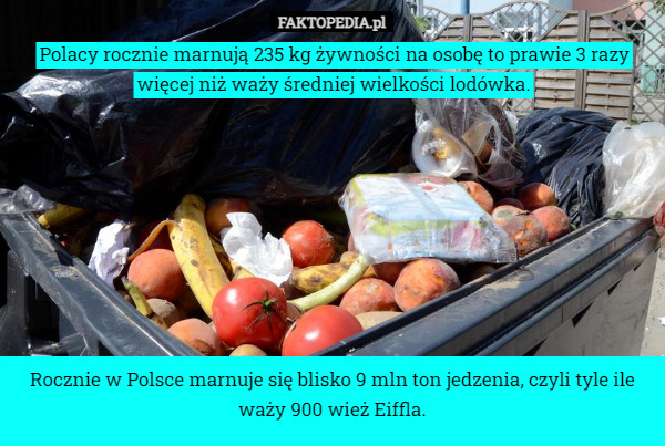 Polacy rocznie marnują 235 kg żywności na osobę to prawie 3 razy więcej niż waży średniej wielkości lodówka. Rocznie w Polsce marnuje się blisko 9 mln ton jedzenia, czyli tyle ile waży 900 wież Eiffla. 