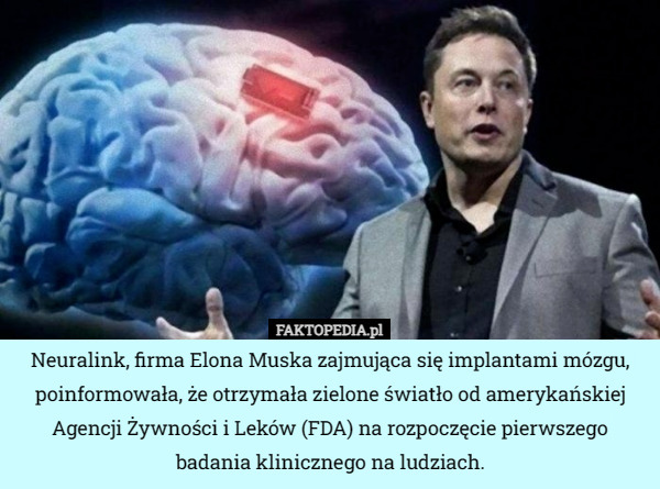 Neuralink, firma Elona Muska zajmująca się implantami mózgu, poinformowała, że otrzymała zielone światło od amerykańskiej Agencji Żywności i Leków (FDA) na rozpoczęcie pierwszego badania klinicznego na ludziach. 
