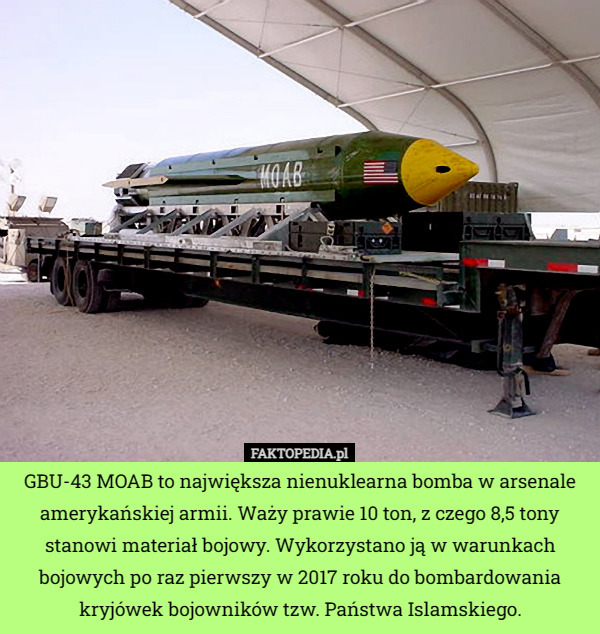 GBU-43 MOAB to największa nienuklearna bomba w arsenale amerykańskiej armii. Waży prawie 10 ton, z czego 8,5 tony stanowi materiał bojowy. Wykorzystano ją w warunkach bojowych po raz pierwszy w 2017 roku do bombardowania kryjówek bojowników tzw. Państwa Islamskiego. 