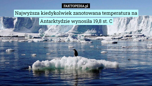 Najwyższa kiedykolwiek zanotowana temperatura na Antarktydzie wynosiła 19,8 st. C 