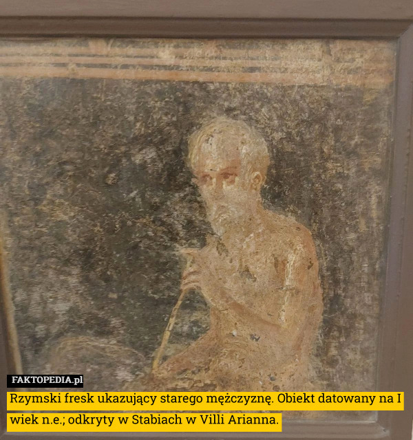 Rzymski fresk ukazujący starego mężczyznę. Obiekt datowany na I wiek n.e.; odkryty w Stabiach w Villi Arianna. 