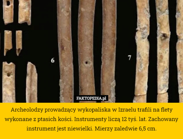 Archeolodzy prowadzący wykopaliska w Izraelu trafili na flety wykonane z ptasich kości. Instrumenty liczą 12 tyś. lat. Zachowany instrument jest niewielki. Mierzy zaledwie 6,5 cm. 
