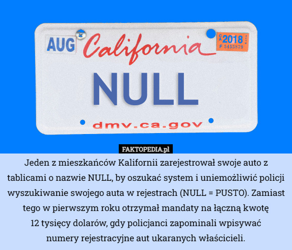 Jeden z mieszkańców Kalifornii zarejestrował swoje auto z tablicami o nazwie NULL, by oszukać system i uniemożliwić policji wyszukiwanie swojego auta w rejestrach (NULL = PUSTO). Zamiast tego w pierwszym roku otrzymał mandaty na łączną kwotę
12 tysięcy dolarów, gdy policjanci zapominali wpisywać
numery rejestracyjne aut ukaranych właścicieli. 