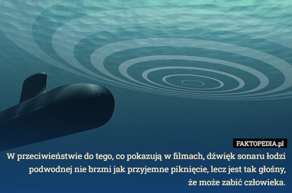 W przeciwieństwie do tego, co pokazują w filmach, dźwięk sonaru łodzi podwodnej nie brzmi jak przyjemne piknięcie, lecz jest tak głośny,
że może zabić człowieka. 