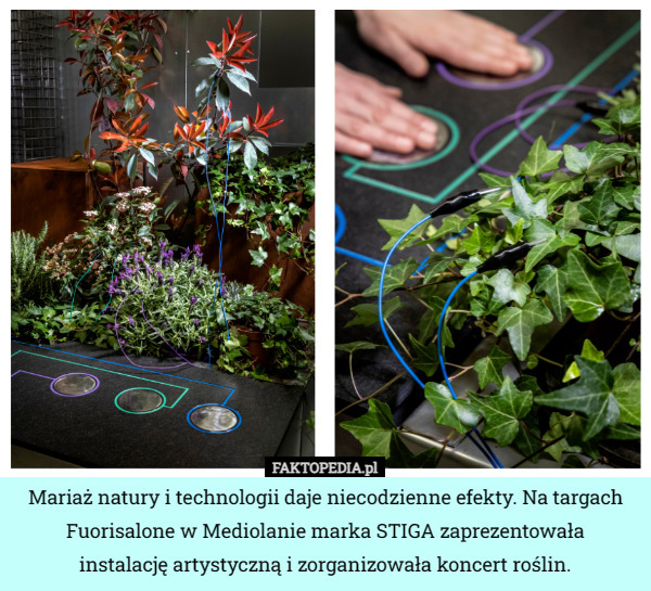 Mariaż natury i technologii daje niecodzienne efekty. Na targach Fuorisalone w Mediolanie marka STIGA zaprezentowała
 instalację artystyczną i zorganizowała koncert roślin. 