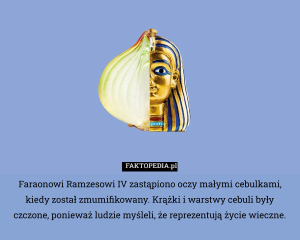 Faraonowi Ramzesowi IV zastąpiono oczy małymi cebulkami, kiedy został zmumifikowany. Krążki i warstwy cebuli były czczone, ponieważ ludzie myśleli, że reprezentują życie wieczne. 
