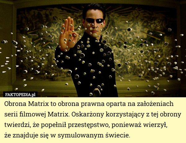 Obrona Matrix to obrona prawna oparta na założeniach serii filmowej Matrix. Oskarżony korzystający z tej obrony twierdzi, że popełnił przestępstwo, ponieważ wierzył,
 że znajduje się w symulowanym świecie. 