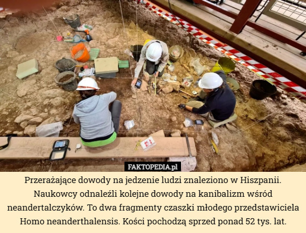 Przerażające dowody na jedzenie ludzi znaleziono w Hiszpanii. Naukowcy odnaleźli kolejne dowody na kanibalizm wśród neandertalczyków. To dwa fragmenty czaszki młodego przedstawiciela Homo neanderthalensis. Kości pochodzą sprzed ponad 52 tys. lat. 
