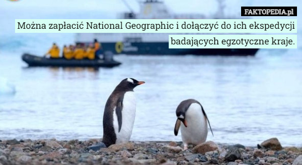 Można zapłacić National Geographic i dołączyć do ich ekspedycji badających egzotyczne kraje. 