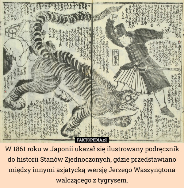 W 1861 roku w Japonii ukazał się ilustrowany podręcznik do historii Stanów Zjednoczonych, gdzie przedstawiano między innymi azjatycką wersję Jerzego Waszyngtona walczącego z tygrysem. 