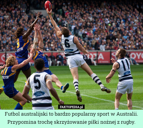 Futbol australijski to bardzo popularny sport w Australii. Przypomina trochę skrzyżowanie piłki nożnej z rugby. 