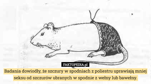 Badania dowiodły, że szczury w spodniach z poliestru uprawiają mniej seksu od szczurów ubranych w spodnie z wełny lub bawełny. 