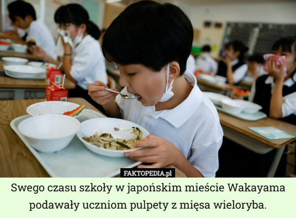 Swego czasu szkoły w japońskim mieście Wakayama podawały uczniom pulpety z mięsa wieloryba. 