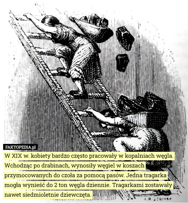 W XIX w. kobiety bardzo często pracowały w kopalniach węgla. Wchodząc po drabinach, wynosiły węgiel w koszach przymocowanych do czoła za pomocą pasów. Jedna tragarka mogła wynieść do 2 ton węgla dziennie. Tragarkami zostawały nawet siedmioletnie dziewczęta. 