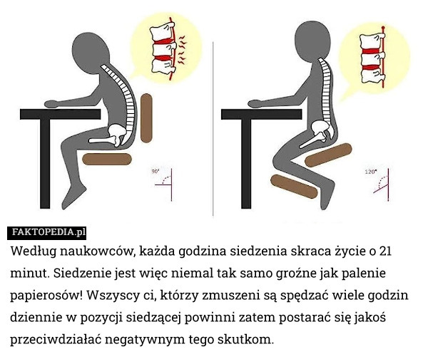 Według naukowców, każda godzina siedzenia skraca życie o 21 minut. Siedzenie jest więc niemal tak samo groźne jak palenie papierosów! Wszyscy ci, którzy zmuszeni są spędzać wiele godzin dziennie w pozycji siedzącej powinni zatem postarać się jakoś przeciwdziałać negatywnym tego skutkom. 