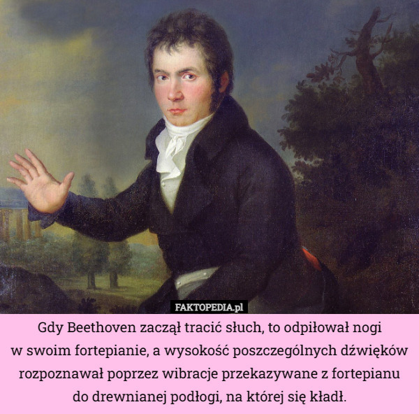 Gdy Beethoven zaczął tracić słuch, to odpiłował nogi
 w swoim fortepianie, a wysokość poszczególnych dźwięków rozpoznawał poprzez wibracje przekazywane z fortepianu do drewnianej podłogi, na której się kładł. 