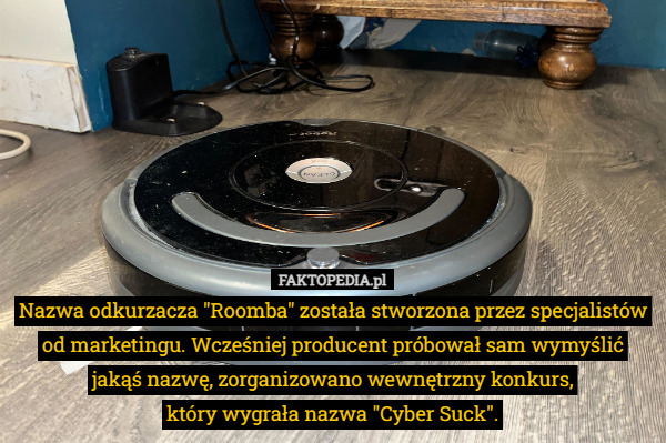 Nazwa odkurzacza "Roomba" została stworzona przez specjalistów od marketingu. Wcześniej producent próbował sam wymyślić jakąś nazwę, zorganizowano wewnętrzny konkurs,
 który wygrała nazwa "Cyber Suck". 