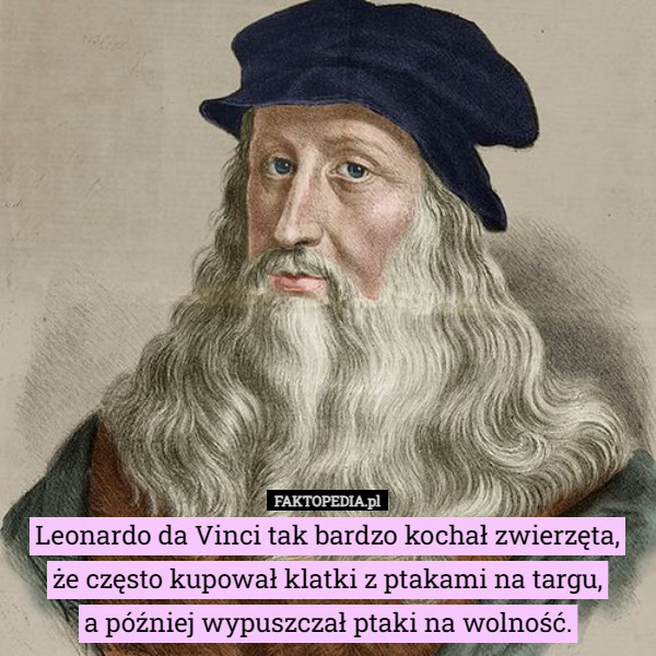 Leonardo da Vinci tak bardzo kochał zwierzęta,
 że często kupował klatki z ptakami na targu,
 a później wypuszczał ptaki na wolność. 