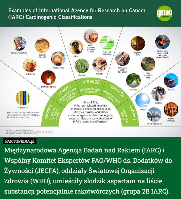 Międzynarodowa Agencja Badań nad Rakiem (IARC) i Wspólny Komitet Ekspertów FAO/WHO ds. Dodatków do Żywności (JECFA), oddziały Światowej Organizacji Zdrowia (WHO), umieściły słodzik aspartam na liście substancji potencjalnie rakotwórczych (grupa 2B IARC). 