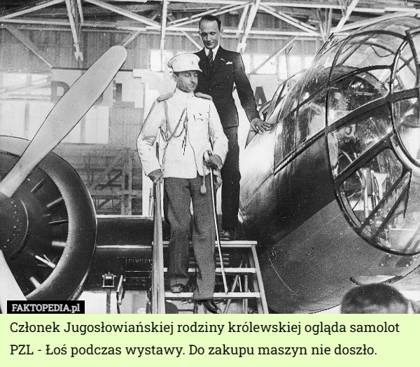 Członek Jugosłowiańskiej rodziny królewskiej ogląda samolot PZL - Łoś podczas wystawy. Do zakupu maszyn nie doszło. 