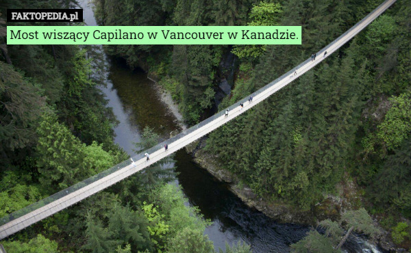 Most wiszący Capilano w Vancouver w Kanadzie. 